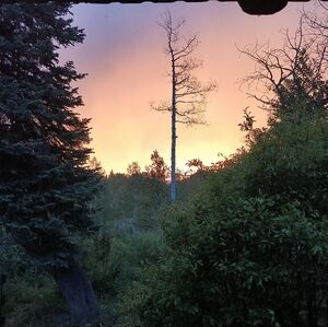 @FCARNER24 IS LIVE! Join us 💜